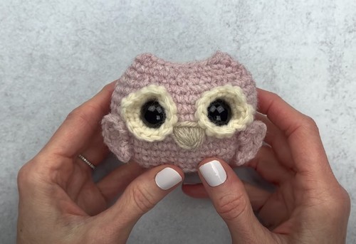 The Only Crocheted Owl